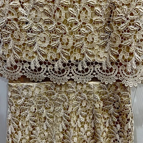 Caché dress, tan and gold color, good condition - Picture 7 of 7